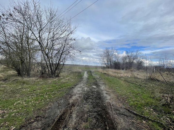 Участок 1,87 га (ИЖС)