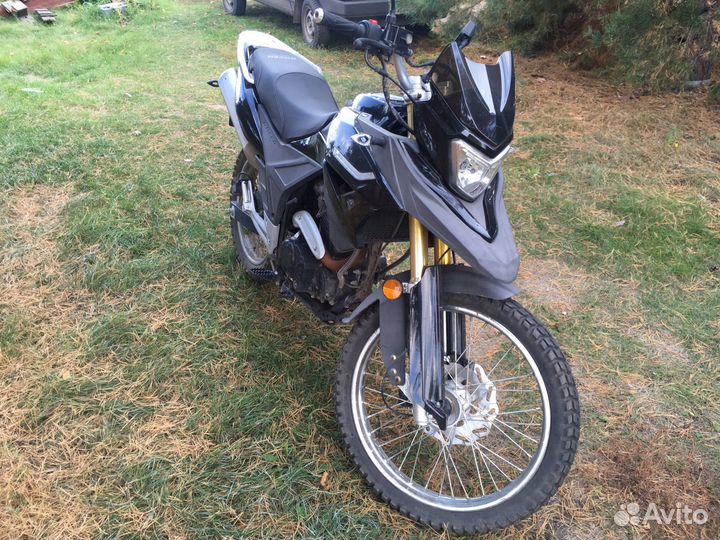 Racer 300
