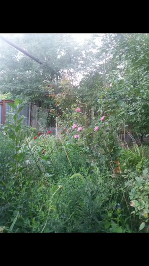 Дом 38 м² на участке 13 сот.