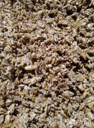 Пивная дробина барда, с доставкой