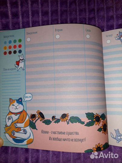 Ежедневник очень делового котика