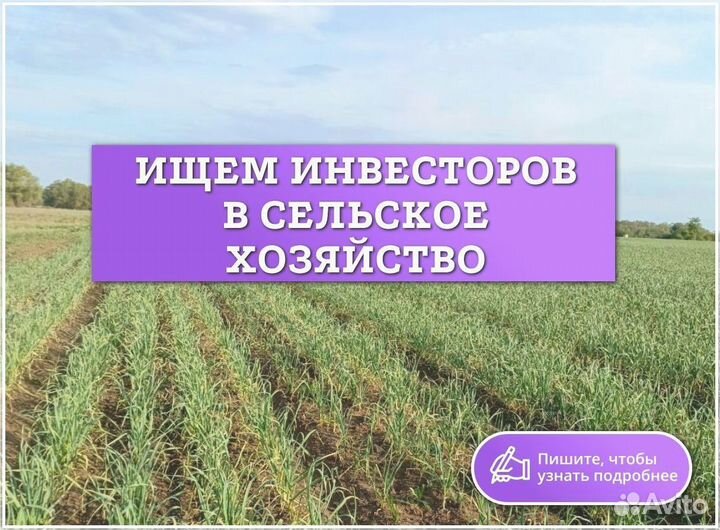 Инвестиции в готовый бизнес