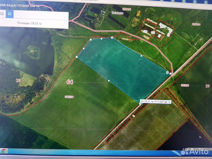 Ферма Кашара