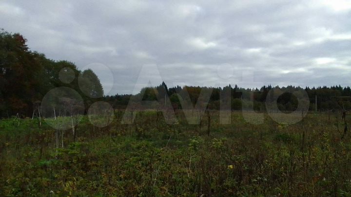 Участок 35 сот. (ИЖС)