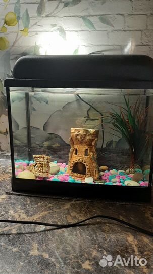 Аквариум
