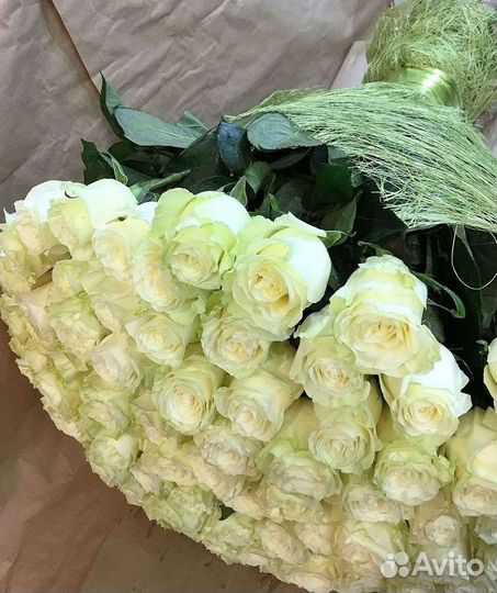 Высокие розы Гигантские Розы 150 160 170 180 190см