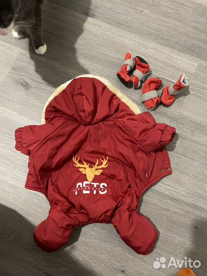 Одежда для собак