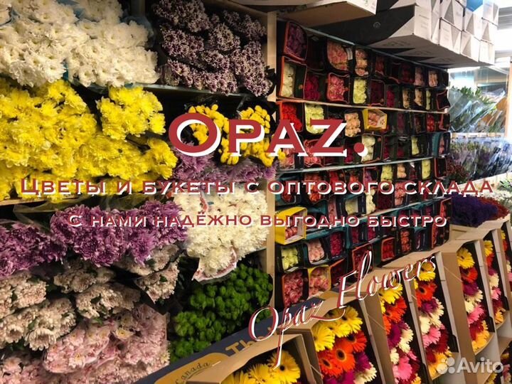 Цветы оптом Альстромерия