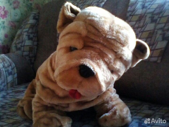 Большой пес