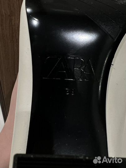 Сапоги zara новая коллекция 38