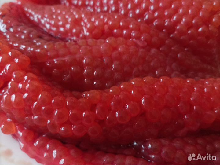 Икра красная горбуши в ястыках