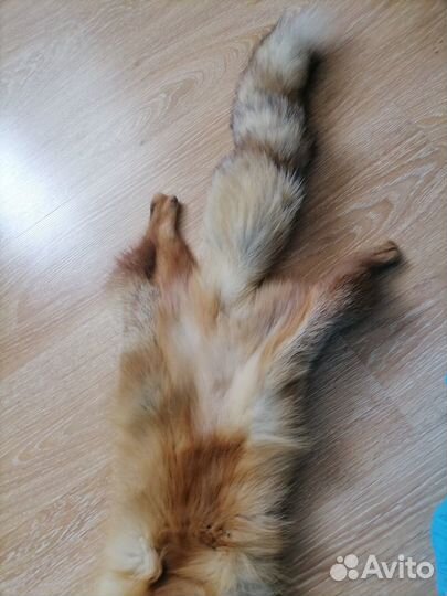 Воротник лисий