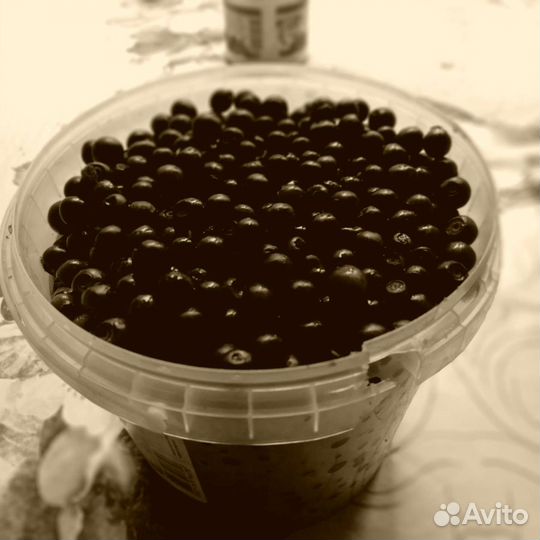 Черника свежая