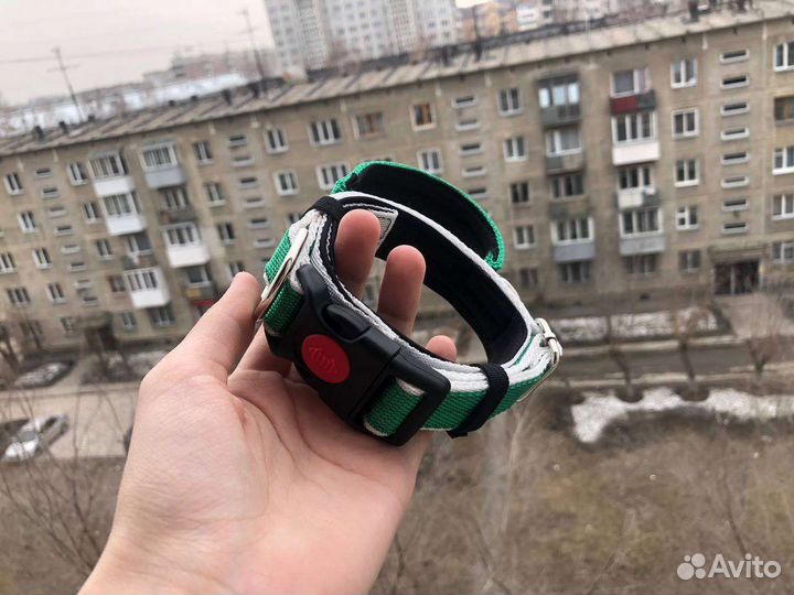 Ошейник для собак