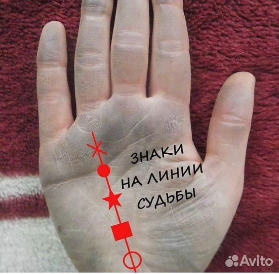 Хиромантия,таро,обучение