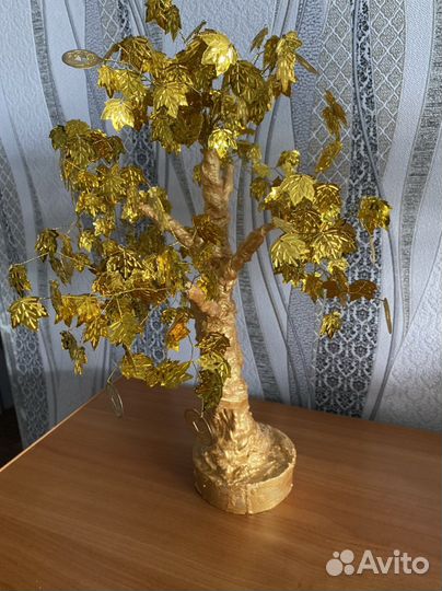 Денежное дерево