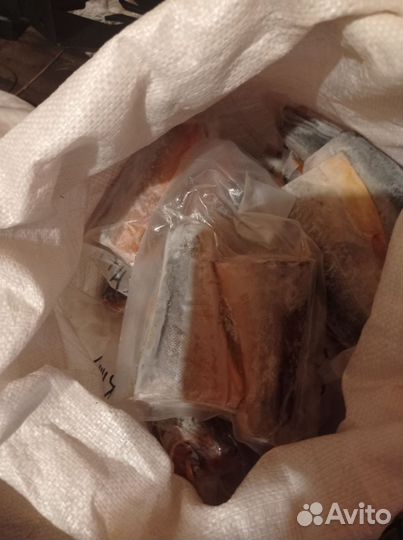 Лосось(Палия)