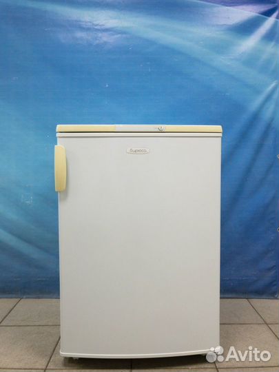 Холодильник Бирюса. Гарантия и доставка