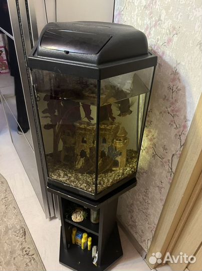 Аквариум с тумбой и рыбой