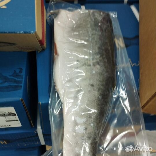 Филе Лосося премиум качество