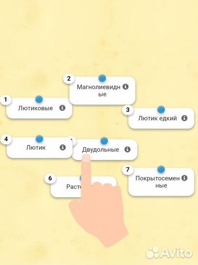 Репетитор по биологии
