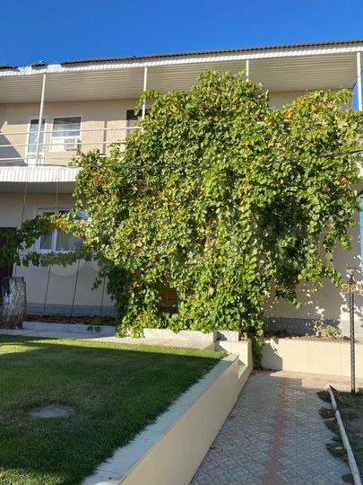 Гостиница, 600 м²