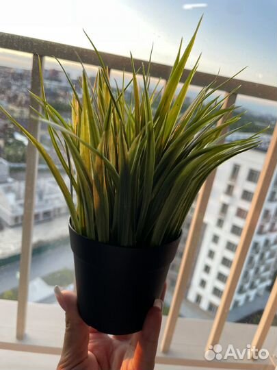 Искусственные цветы IKEA