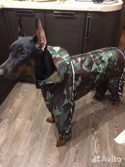 Комбезы п/породам и метисам,подбор на Вашу собачку