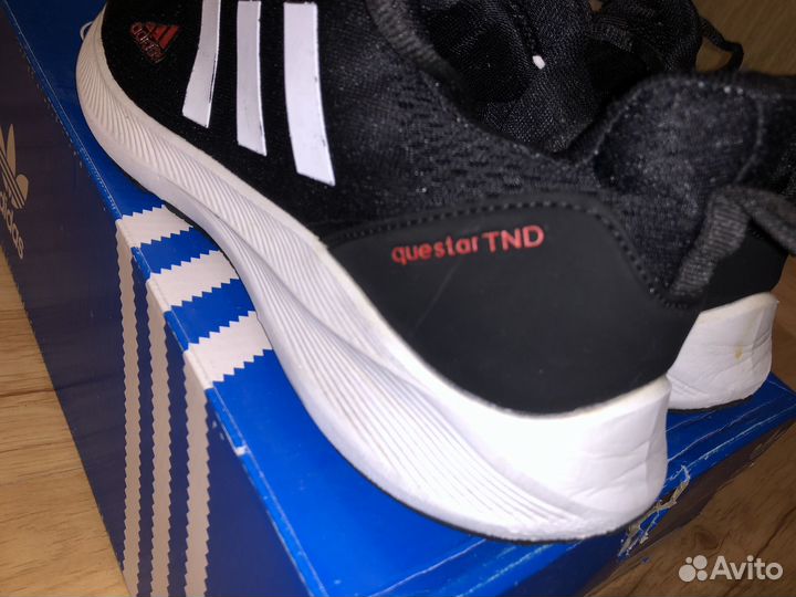 Кроссовки adidas questar TND(Оригинал) для бега