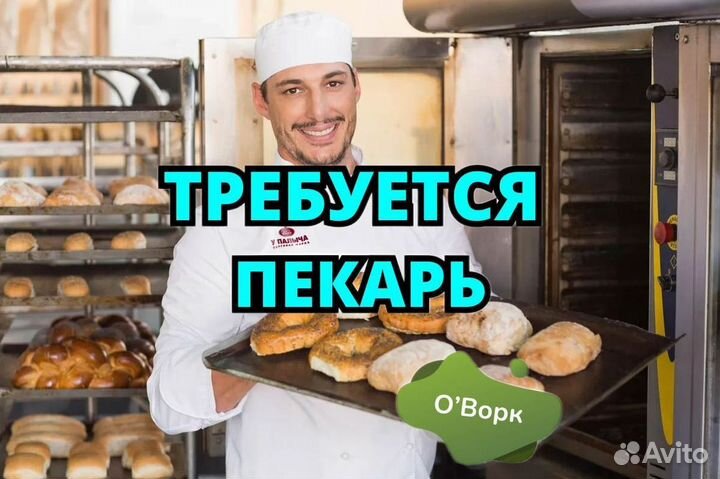 Пекарь-повар. kf630