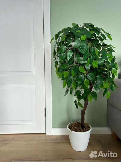Фикус искусственный