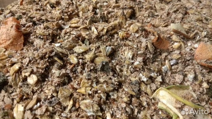 Мэш для Лошадей и Пони 25кг