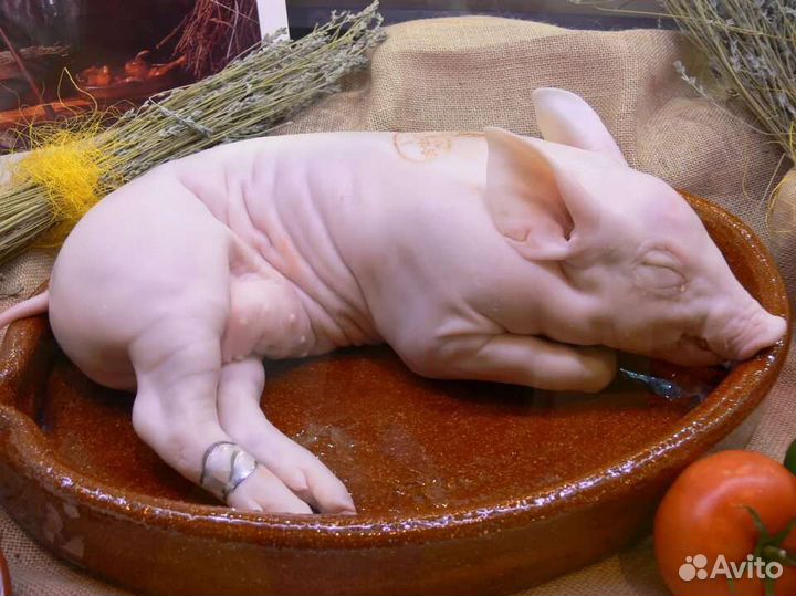 Молочный поросёнок в духовку