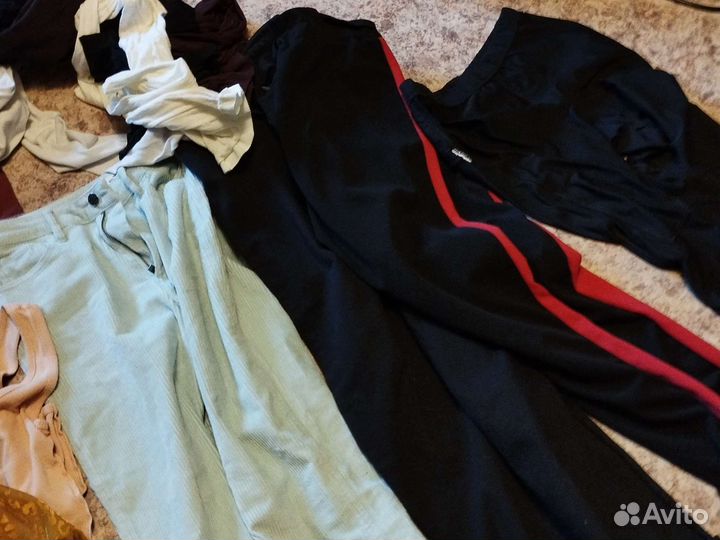 Женские вещи колготки бесплатно 42 р-р, s