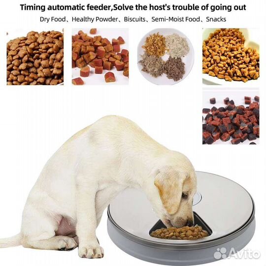 Автокормушка для кошек и собак