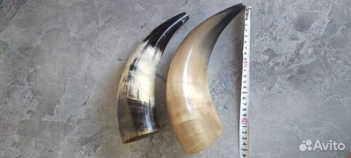 Коровьи рога