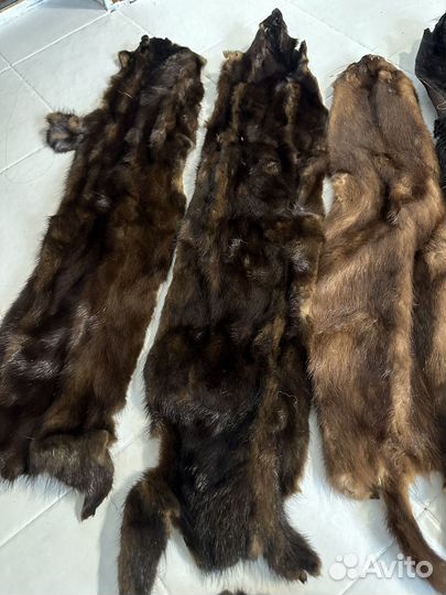 Шкурка животного норка лиса