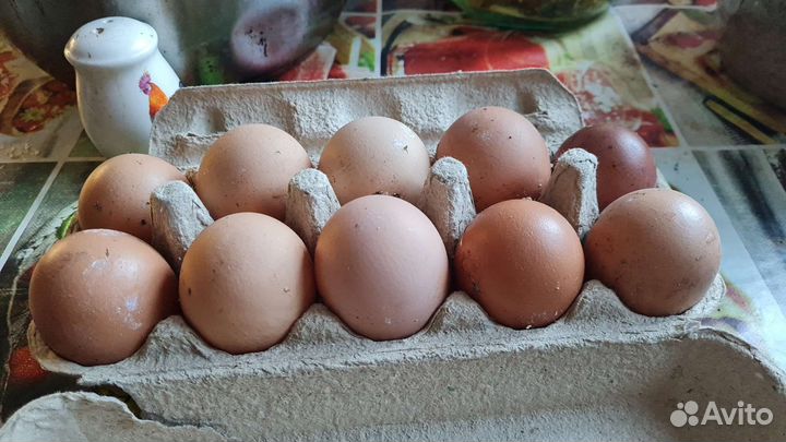 Домашние куриные яйца,перепелиные