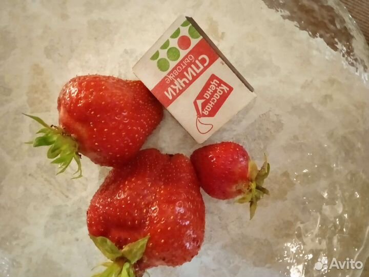 Клубника саженцы