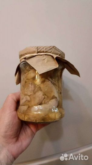Форель из Карелии