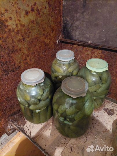 Огурцы солёные