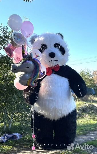 Белый Мишка Панда поздравления