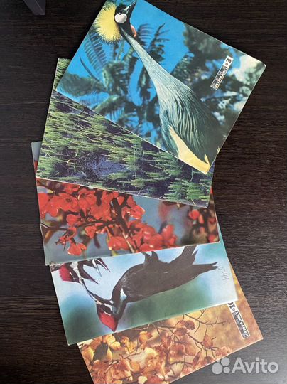 Юный натуралист журнал