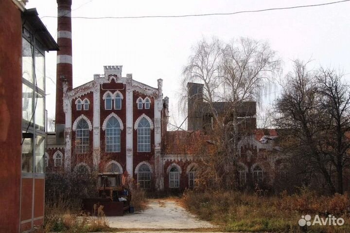 Экскурсии в горы