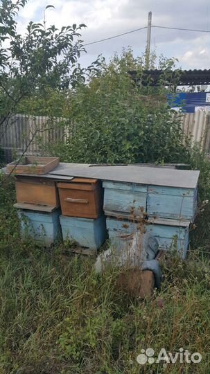 Улей для пчел бу