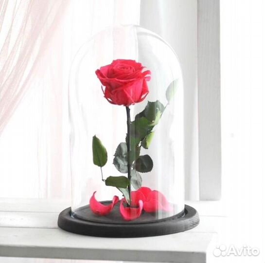 Роза в колбе. Стоит до 8 лет