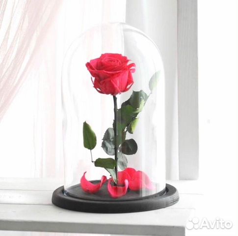 Роза в колбе. Стоит до 8 лет