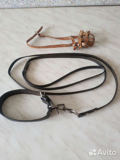 Намордник и поводок для маленькой собачки