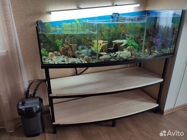 Аквариум
