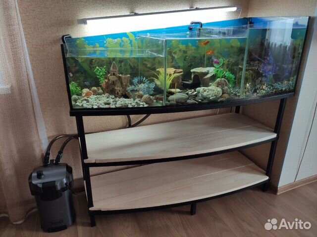 Аквариум